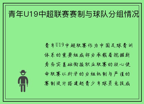 青年U19中超联赛赛制与球队分组情况